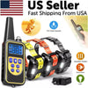 Rechargeable Remote Dog Training Collar