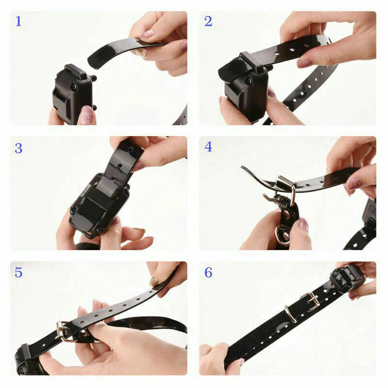 Dual Dog Training Collar Set