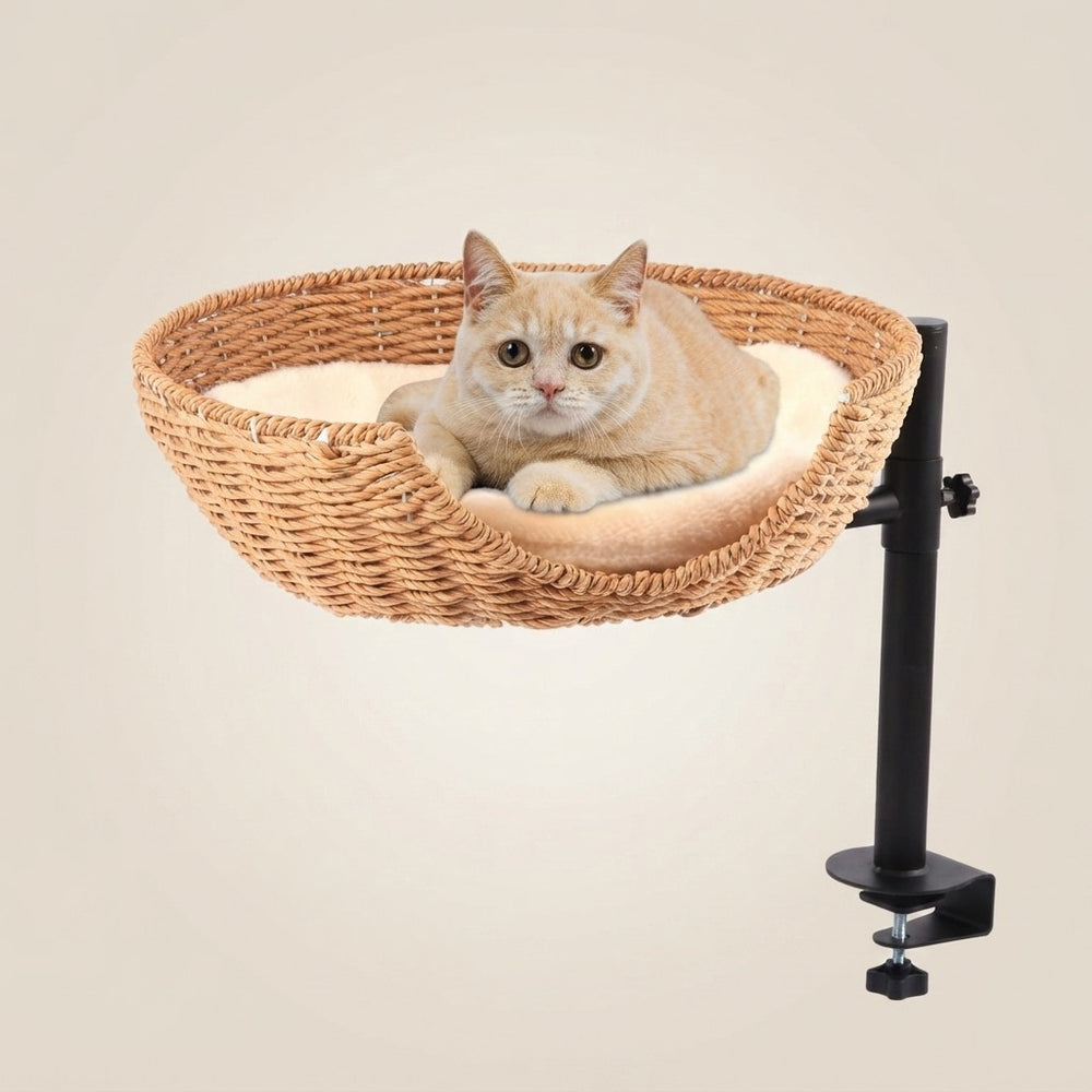 Elevated Bamboo Cat Desk Bed